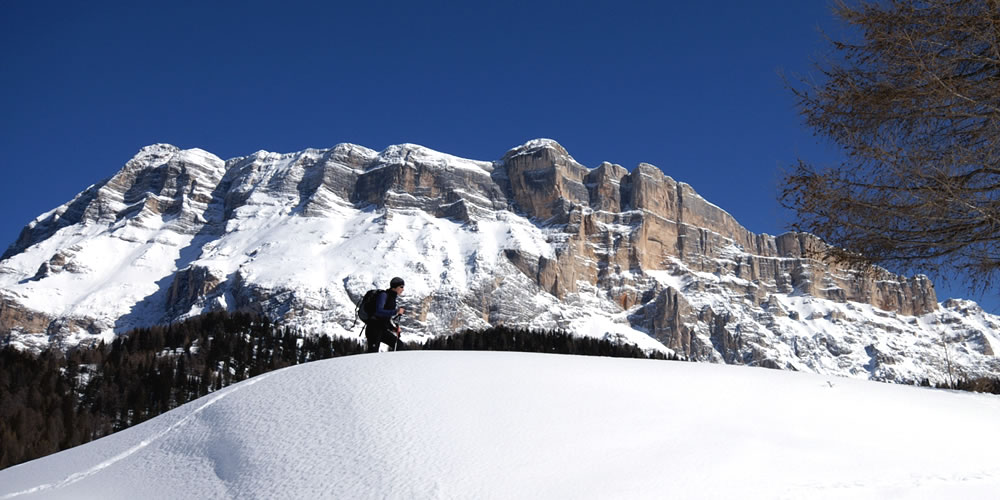 Winterlicher Rundgang der Armentara Wiesen in Wengen