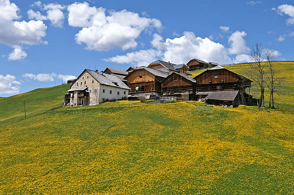 Viles La Val Val Badia